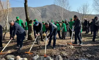 1500 участников акции «Мөлдір бұлақ» высадили деревья в Алматинской области