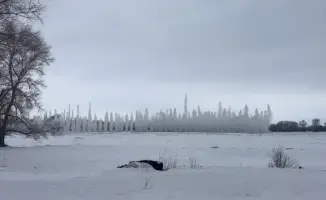 Международная солидарность в борьбе с паводками: спасатели и волонтёры объединяются для защиты населённых пунктов