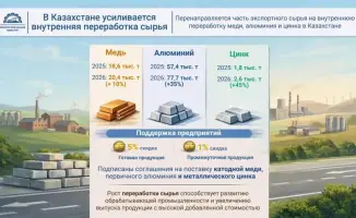 Внутренняя переработка сырья в Казахстане и развитие обрабатывающей промышленности