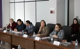 Позитивные изменения в обществе: эксперты о влиянии Конституции на межэтническую стабильность в Казахстане