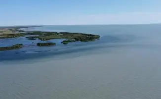 Балхаш: рыбы под контролем, экосистема на весах!