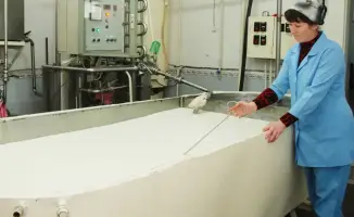 Развитие переработки сельхозпродукции в Жамбылской области: вклад в продовольственную безопасность региона