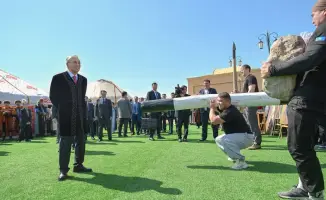 Наурыз: Праздничный калейдоскоп традиций с участием главы государства