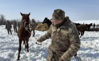 В Жуалынском районе военнослужащие горно-егерской роты проходят боевое слаживание с конным составом