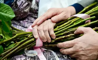 Весенний день для наших милых дам в городе