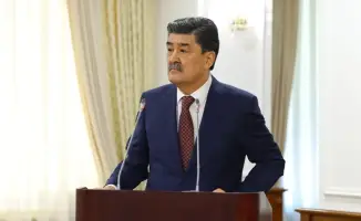 Усиление контроля за озеленением в Приаралье: последствия для экосистемы и устойчивого развития региона