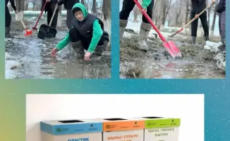 Зеленые ростки будущего: как школьники формируют экологическую культуру через действия