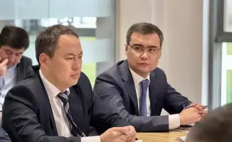 Борьба с саранчой в Туркестанской области план действий и сектора