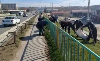 Субботник в Сарыагаше: чистота на всех уровнях!