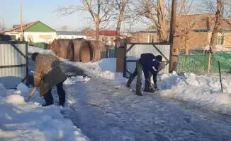 Жители Карагандинской области призваны к активной уборке снега во дворах