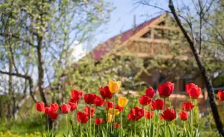 В Алматинской области продолжается масштабное включение дачных массивов в состав населённых пунктов