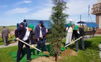 8 тысяч саженцев: зеленая революция в Казыгурте!