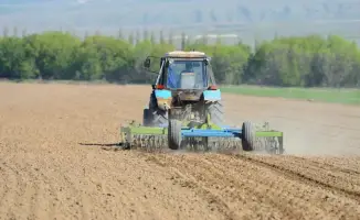 Посевная площадь Жетісу 511800 гектаров 2026 год