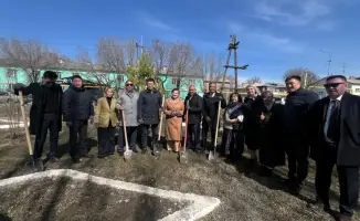 Деревья на выбор: как голосуем за будущее?