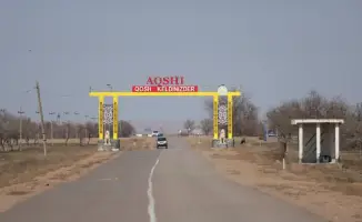 В Илийском районе высаживают более 30 тысяч саженцев деревьев вдоль 15 км дороги