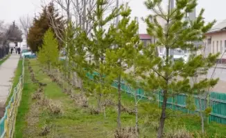 Казыгурт: 2000 жителей на субботнике с саженцами!