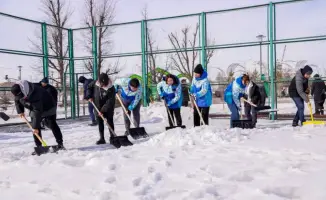 Чистим город: присоединяйтесь к экологическому движению!
