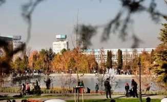 В Алматы открываются 1150 торговых мест для продажи цветов к Международному женскому дню