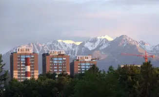 Весенняя дератизация в Алматы с 15 марта