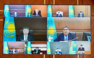 36 млн саженцев в Восточном Казахстане