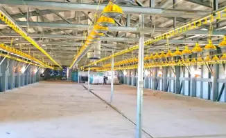 Запуск птицефабрики в Кызылординской области создаст 120 рабочих мест и поддержит агропромышленный сектор