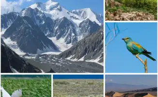 Казахстан запускает концепцию сохранения биоразнообразия