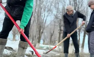 Волонтерская группа Экоқорғаушылар очистка родников высадка деревьев переработка отходов