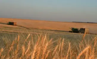 Весенние посевы в Туркестанской области: 90% земли уже вспахано