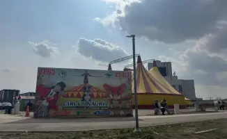 Влияние «Наурыз шоу» на культурное обогащение Алматы и общественное восприятие циркового искусства