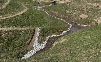 Толебийский район: очистка водных источников