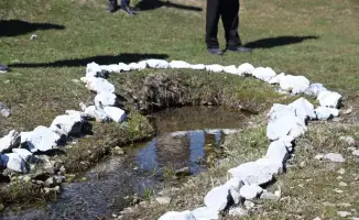 Экологическая акция по очистке родников в Жартытобе высадка деревьев и озеленение