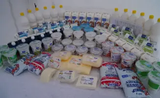 Молоко из Бурабая: ферма, завод и 130 мест!