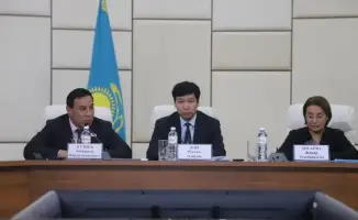 Республиканские этнокультурные объединения Казахстана поддерживают подготовку к референдуму о новой Конституции