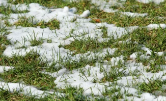 Гололедица и тепло: мартовские капризы Астаны и Алматы