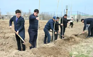 Жетысайский район озеленяется: высажены 5 тысяч саженцев в день обновления
