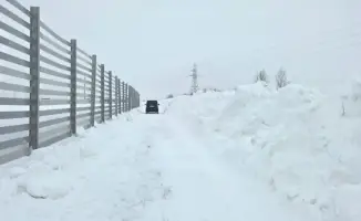 Новая снегозащитная система на трассе «Астана – Кокшетау»: снижение аварийности и улучшение дорожной безопасности