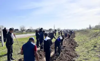 В Жетысайском районе прошел субботник, в котором приняли участие 500 человек для очистки берегов канала К-30 и высадки 2000 деревьев