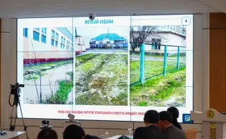 Зеленый щит Туркестанской области: 1 миллион новых саженцев в 2026 году