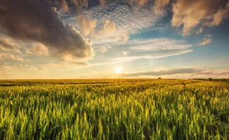 Казахстан: Прогноз погоды на весну и лето 2026 года