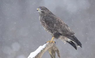 Погода в Астане и Алматы: весенний вальс капризов 12-14 марта