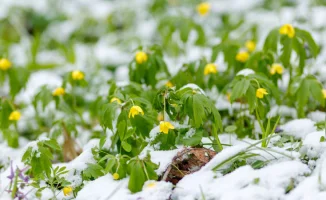 Прогноз погоды в Астане, Алматы и Шымкенте: как изменения климата влияют на повседневную жизнь горожан с 2 по 4 марта