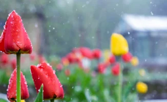 Мартовские капризы: погода в Астане и Алматы