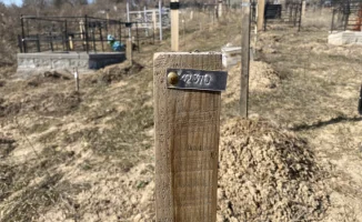 Похороны безродных в Казахстане: как хоронят тех, кто умер в одиночестве и почему это важно