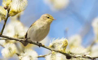 Мегаполисы Казахстана: весенние капризы погоды на выходных