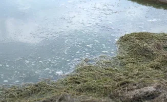 Специальная группировка МЧС Казахстана для борьбы с паводками под руководством министра Чингиса Аринова