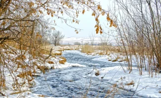 Тепло в Казахстане: температура до 15 градусов в середине марта