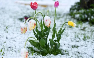 Прогноз погоды в Казахстане: морозы до -25°C 7, 8 и 9 марта