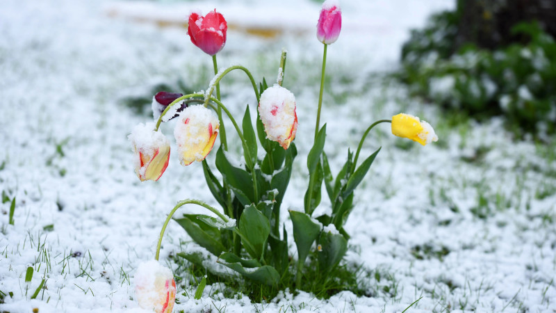 Прогноз погоды в Казахстане: морозы до -25°C 7, 8 и 9 марта Астане