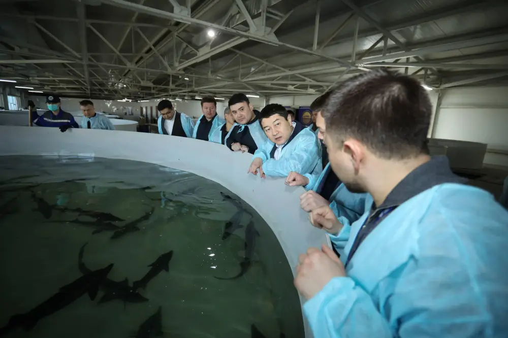 Проект по производству икры в Мангистау: новые горизонты для экономики и продовольственной безопасности региона Астане