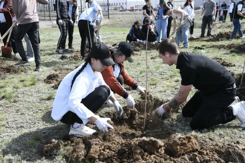 Представители столичного ресторанного и гостиничного бизнеса приняли участие в посадке деревьев в рамках «Таза Казақстан» (3)